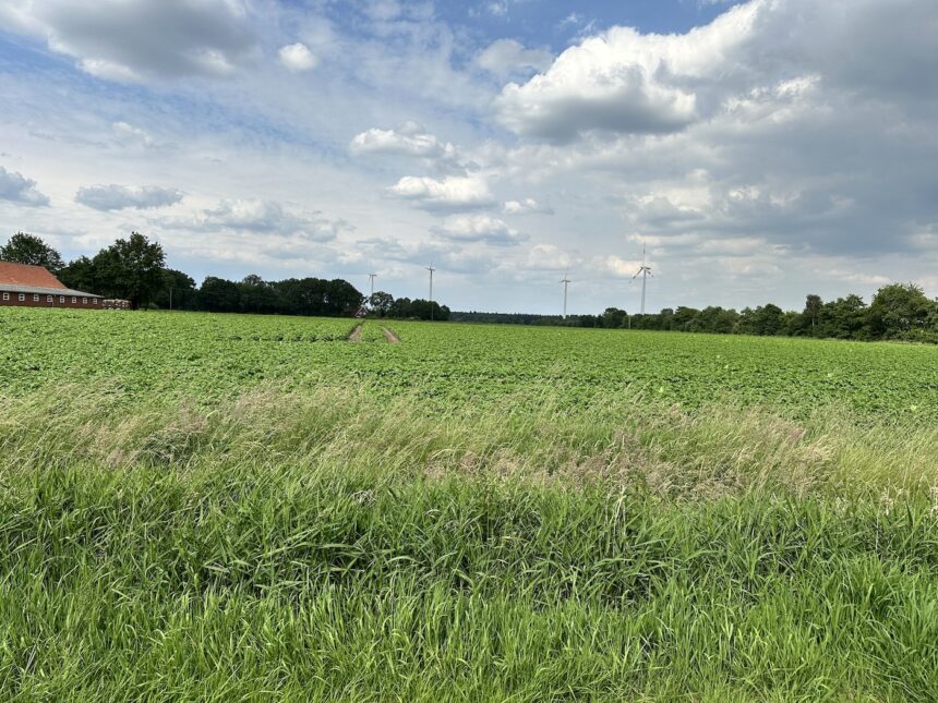 Countryside in northern Germany. Photo: © Sonja Irani | MyAncestorsJourney.com