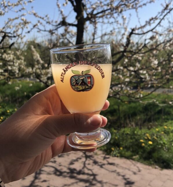 Fresh apple cider at an apple farm in Jork, northern Germany