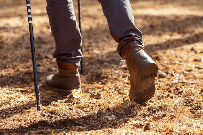 Close up of male legs walking by forest, using walking sticks. Photo: Envato Elements